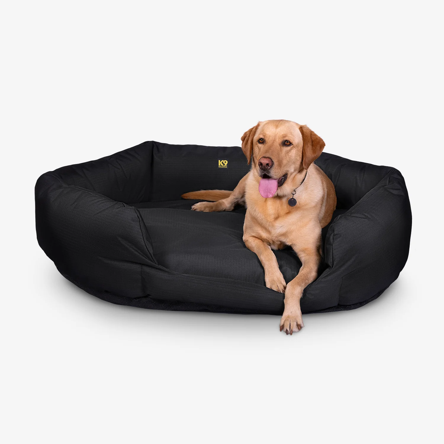 Couch & Bolstered Dog Beds
